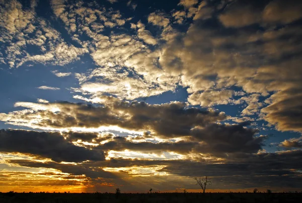 Африканский Ландшафт Впечатляющими Облаками Национальном Парке Крюгер Юар — стоковое фото