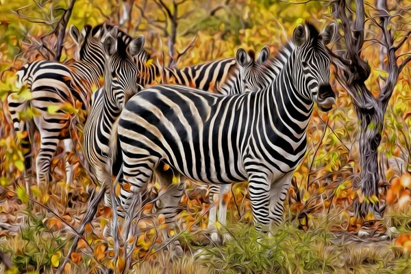 Zebra Het Nationaal Park Serengeti Tanzania — Stockfoto