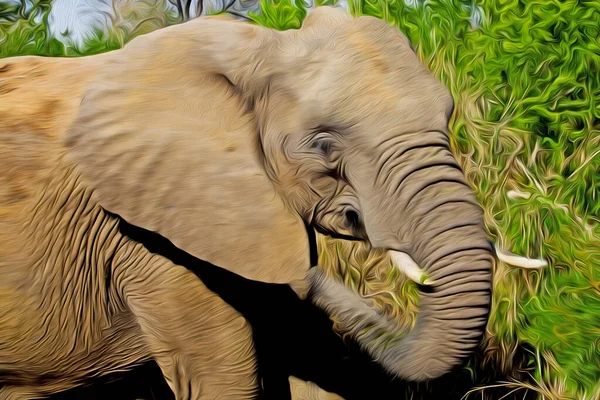 크루거 공원에 아프리카코끼리와 남아프리카 공화국에서 사냥감중 — 스톡 사진