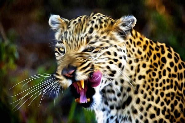 Ritratto Leopardo Nel Suo Habitat Naturale Nel Delta Dell Okavango — Foto Stock