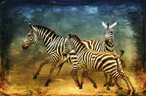 Ilustração Aquarela Desenhada Mão Uma Zebra Com Padrão Grande — Fotografia de Stock