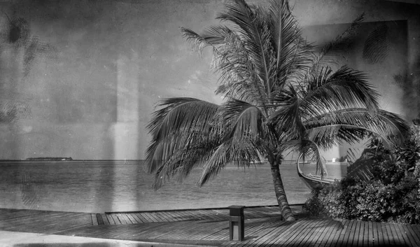 양식의 아름다운 몰디브 — 스톡 사진