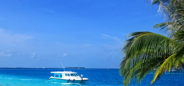 Insula Paradisului Tropical Maldive — Fotografie, imagine de stoc