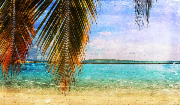 Güzel tropik cennet adası Maldivler 'in klasik tarzı görüntüsü.