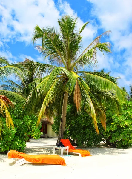 Прекрасний Тропічний Острів Рай Мальдіви — стокове фото