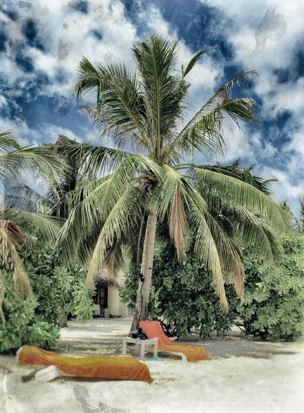 Insula Paradisului Tropical Maldive — Fotografie, imagine de stoc