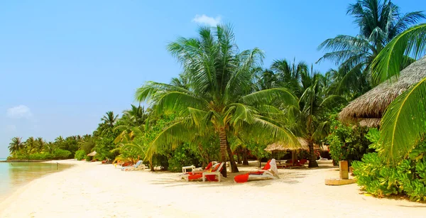 Hermosa Isla Del Paraíso Tropical Las Maldivas — Foto de Stock