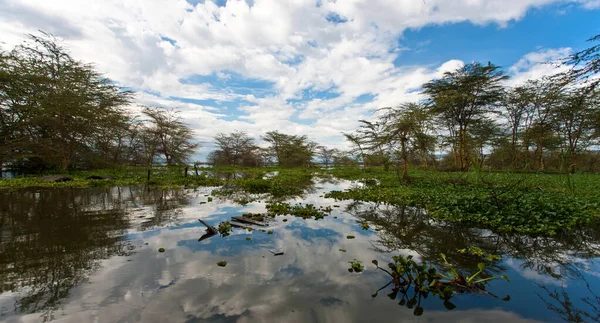 Vista Lago Naivasha Quênia África — Fotografia de Stock