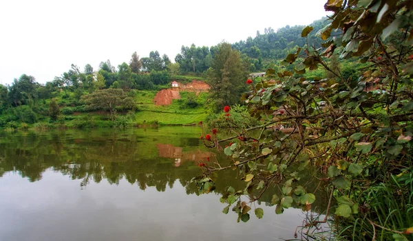 Lake Bunyonyi Uganda Africa Borders Uganda Congo Democratic Republic Rwanda — Stock Photo, Image