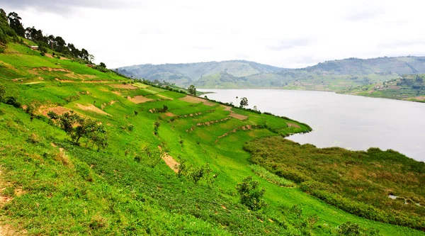 ทะเลสาบ Bunyonyi ในอ นดา แอฟร ชายแดนของอ นดา สาธารณร ฐประชาธ ปไตยคองโกและรว — ภาพถ่ายสต็อก