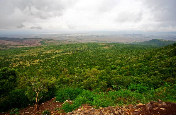 Riftdalen Kenya Afrika – stockfoto