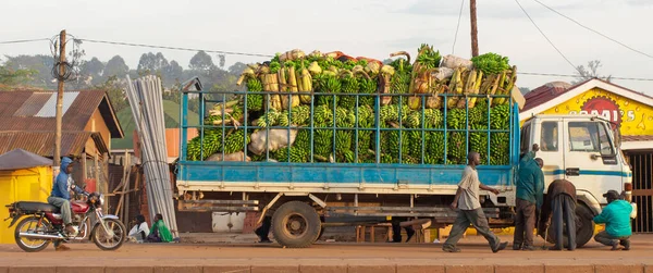 Kampala Uganda Nov Lastbil Full Med Bananer Den November 2012 — Stockfoto