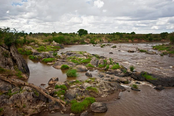 Mara Rivier Het Maasai Mara Nationaal Park Kenia — Stockfoto