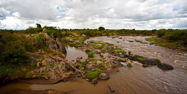 Rzeka Mara Parku Narodowym Maasai Mara Kenia — Zdjęcie stockowe
