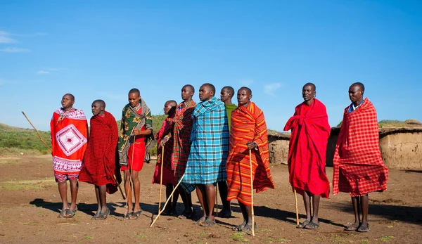 Ekim 2012 Kenya Daki Maasai Mara Kimliği Belirlenemeyen Masai Erkekleri — Stok fotoğraf