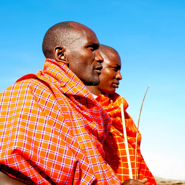 Ekim 2012 Kenya Daki Maasai Mara Kimliği Belirlenemeyen Masai Erkekleri — Stok fotoğraf