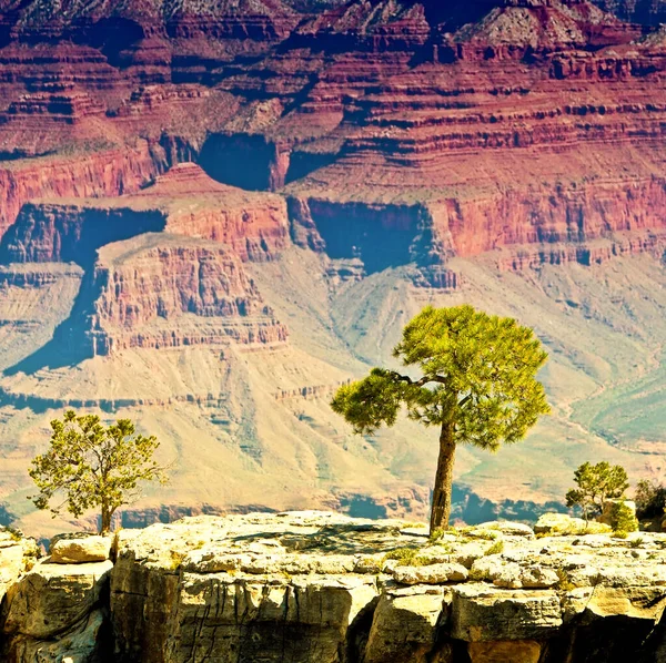 Grand Canyon Arizona Eua Grand Canyon Desfiladeiro Íngreme Esculpido Pelo — Fotografia de Stock