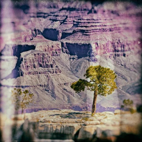 Grand Canyon Arizona Usa Grand Canyon Steep Sided Canyon Carved — Stock Photo, Image