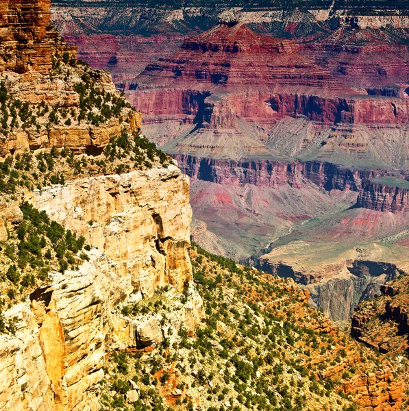 Grand Canyon, Arizona, USA. The Grand Canyon is a steep-sided canyon carved by the Colorado River in the United States in the state of Arizona