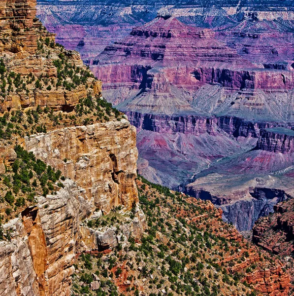 Grand Canyon Arizona Usa Grand Canyon Ripido Canyon Scavato Dal — Foto Stock