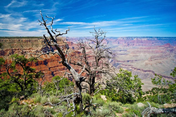 Γκραντ Κάνυον Αριζόνα Ούσα Grand Canyon Είναι Ένα Απόκρημνο Φαράγγι — Φωτογραφία Αρχείου
