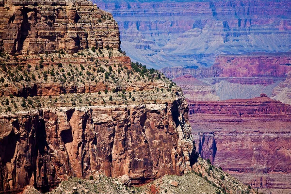 Grand Canyon Arizona Usa Grand Canyon Ripido Canyon Scavato Dal — Foto Stock