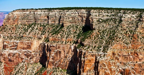 Grand Canyon Arizona Usa Grand Canyon Bratt Kløft Hogd Colorado stockfoto