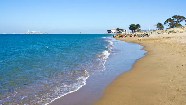 Plaża Chrissy Field San Francisco Kalifornia Usa — Zdjęcie stockowe