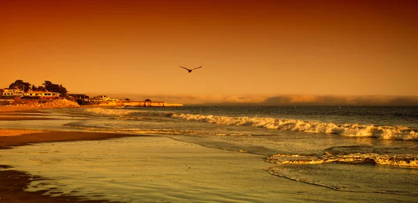 サンセット時のサンタクルスの太平洋 カリフォルニア州サンタクルス郡のモントレー湾北部 世界的に有名なサーフィンの場所 — ストック写真