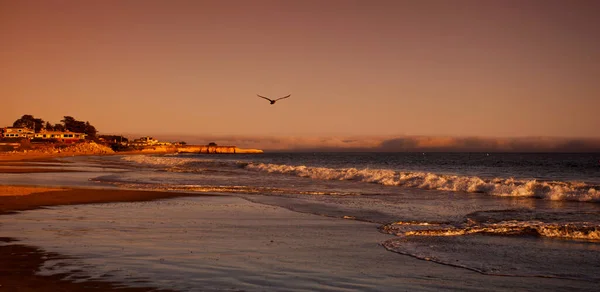 Ocean Spokojny Santa Cruz Zachodzie Słońca Północnej Monterey Bay Santa — Zdjęcie stockowe