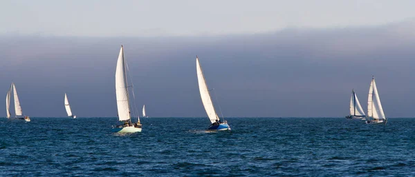 Pasifik Okyanusu Ndaki Yelkenliler Santa Cruz Kaliforniya Abd — Stok fotoğraf