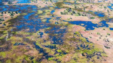 Botswana, Afrika 'daki Okavango Deltası' nın havadan görünüşü