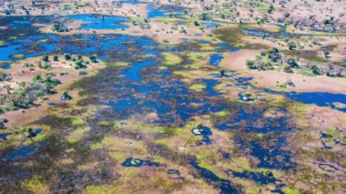 Okavango Delta 'nın Botswana, Afrika' daki hava görüntüsü