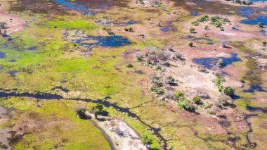 Okavango Delta 'nın Botswana, Afrika' daki hava görüntüsü