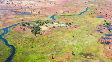 Okavango Delta 'nın Botswana, Afrika' daki hava görüntüsü