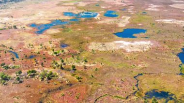 Okavango Delta 'nın Botswana, Afrika' daki hava görüntüsü