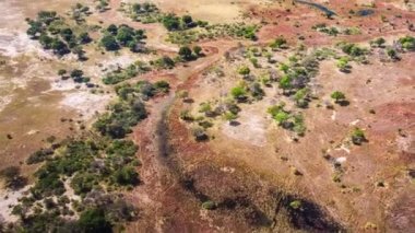 Okavango Delta 'nın Botswana, Afrika' daki hava görüntüsü