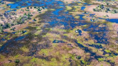 Okavango Delta 'nın Botswana, Afrika' daki hava görüntüsü