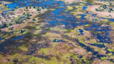 Okavango Delta 'nın Botswana, Afrika' daki hava görüntüsü