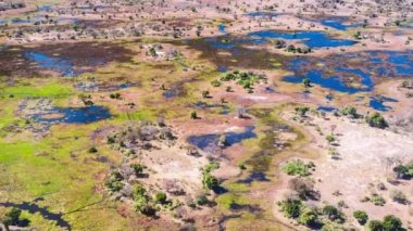 Okavango Delta 'nın Botswana, Afrika' daki hava görüntüsü