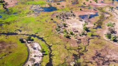 Okavango Delta 'nın Botswana, Afrika' daki hava görüntüsü