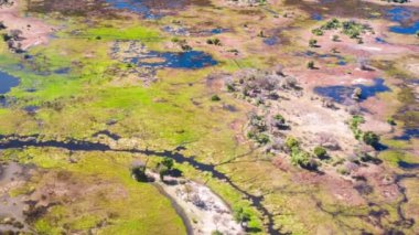 Okavango Delta 'nın Botswana, Afrika' daki hava görüntüsü