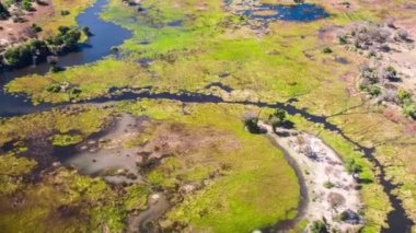 Okavango Delta 'nın Botswana, Afrika' daki hava görüntüsü
