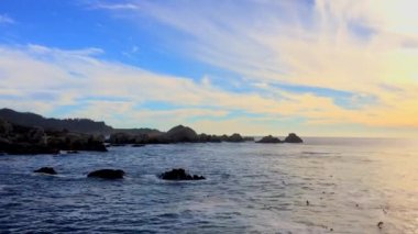 Pasifik Okyanusu Point Lobos Eyaleti Doğal Rezervi, Kaliforniya, ABD. Point Lobos koruma alanları çok çeşitli balıklara, omurgasızlara, kuşlara ve deniz memelilerine barınak sağlar.