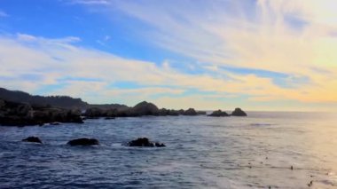 Pasifik Okyanusu Point Lobos Eyaleti Doğal Rezervi, Kaliforniya, ABD. Point Lobos koruma alanları çok çeşitli balıklara, omurgasızlara, kuşlara ve deniz memelilerine barınak sağlar.