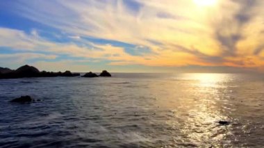 Pasifik Okyanusu Point Lobos Eyaleti Doğal Rezervi, Kaliforniya, ABD. Point Lobos koruma alanları çok çeşitli balıklara, omurgasızlara, kuşlara ve deniz memelilerine barınak sağlar.