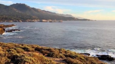 Pasifik Okyanusu Point Lobos Eyaleti Doğal Rezervi, Kaliforniya, ABD. Point Lobos koruma alanları çok çeşitli balıklara, omurgasızlara, kuşlara ve deniz memelilerine barınak sağlar.
