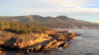 Pasifik Okyanusu Point Lobos Eyaleti Doğal Rezervi, Kaliforniya, ABD. Point Lobos koruma alanları çok çeşitli balıklara, omurgasızlara, kuşlara ve deniz memelilerine barınak sağlar.