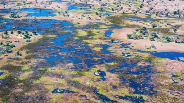Flygfoto Över Okavango Delta Botswana Afrika — Stockvideo