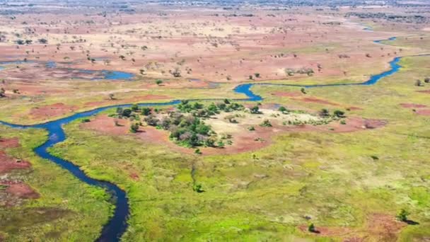 Vista Aérea Del Delta Del Okavango Botswana África — Vídeo de stock